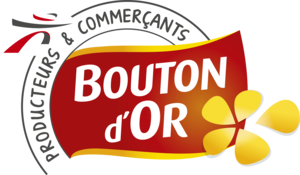 logo boutondor
